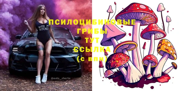 не бодяженный Арсеньев